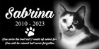 Personalized Pet Stone Memorial Grave Marker Granite Plaque Human Headstone Cat