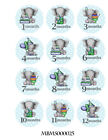 Monthly Blue Elephants Baby Stickers