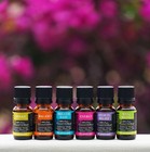 Plantlife Essential Oil Blends  100  Pure Blends For Natural Wellness