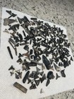 Lot Of 100    Shark Teeth And Ray Fossils  including Megalodon  From Venice Fl