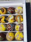 4-21-11 Jabo Wv Marble Collec Tors Club   3 4 marbles Box Set Of 16  60 00    