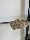 Hag Stone Naturally Holey Beach Rock 4 5  Protection Stone Aquarium Decoration