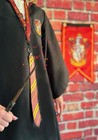 Harry Potter Wizarding World Wand Holder   Lanyard Gryffindor