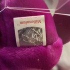 Ty Beanie Babies Millennium Purple Bear Plush 1999 W  Tag Protector