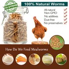 Dried Mealworms 100 natural Non-gmo Dried - High-protein fit Birds Chickens