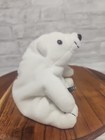 1997 Collectible Coca-cola Polar Bear With Bottle Bean Bag Plush Style 6   
