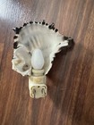 Vintage Seashell Nightlight