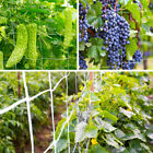 15 30 60ft Heavy Duty Grow Trellis Netting 6  Mesh Nylon Polyester Plant Support