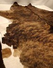 High End Brazilian Xlarge Exotic Brindle Natural Cowhide Rug skin  Cl-238