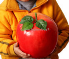 Huge Artificial Apple Fruit Fake Faux Vegetables  House Party Christma Bbq Decor