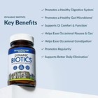 Pack 3 Dynamic Biotics Stonehenge Probiotic Immune digestive ibs   Gut Support 