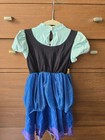 Disney Princess Anna Dress Frozen  Size Xs 4