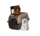 Petmate Two Door Pet Kennel 24  Dog Crate Cat Carrier Top   Front Loading