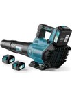 Cordless Leaf Blower 580cfm 160mph   3 Speed Levels With 2 Batteries 4 0ah