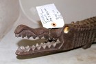 Vintage Wood Carved 31 l Full Body Crocodile Sculpture From Africa Madagascar