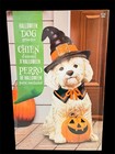 Halloween Dog Greeter Statue 26 5  - Witch Hat Puppy With Pumpkin - New