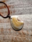 Unique Natural Customizable Handmade So Florida Beach Shell Necklaces  5 Of 11 