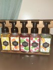 5 Bath And Body Works Fruit Punch Gentle Foaming Hand Soap 5  8 75oz