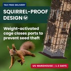 Perky-pet 336-1sr Squirrel-be-gone Squirrel Proof Bird Feeder  2lb  Outdoor Wild