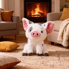 Disney Moana Pua Pig Chicken Shoulder Stuffed Plush Toy Soft Doll Cute Animal