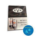 Evh 6l6 Power Tube Pair  Burned In And Matched   0226562002 - Made In Slovakia