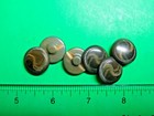  6  Vintage 3 4  Green Vegetable Ivory Shank Buttons Unused-l38