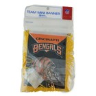 Cincinnatti Bengals Nfl Mini Team Banner With String And Suction Cup New Read