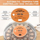 30 Egg Incubator With Automatic Turner  Digital Temperature And Humidity Disp