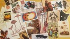 20  Pieces Fall autumn Vintage Ephemera For Junk Journal  Scrapbook  Collage
