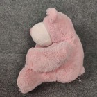 Aurora Bear Plush Pink Teddy Cuddly Pillow Shaggy Big Paws Chubby Stuffed Toy