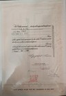 Stock Certificate The American Tobacco Company Orange 100 Shares Indian 1967