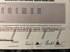 Crocker National Bank Specimen Stock Certificate- San Francisco Vf