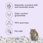 Kaytee Clean   Cozy Lavender Paper Bedding For Pet 49 2 Liters  