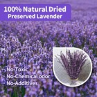 Dried Purple Lavender Flowers Bundle 15-17  For Wedding  Home   Aromatherapy