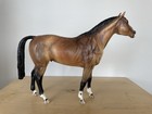 Breyer Horse  Passport To Model Horse Collecting  traditional  Trakehner Mold 