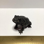 Japanese Bronze Frog Statue Small Antique Metal Animal Sculpture Figurine 2 7 In