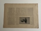 1895 New York Giants Baseball Team Photo Magazine Page Amos Rusie