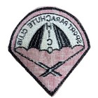 Rare Vtg Orig 60s 70s Chico Ca Patch 4    Sport Parachute Club Skydiving Skydive