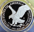      2026 W Siiver Eagle Proof  1 250th Liberty Bell Privy First Strike