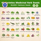Medicinal Herb Seed Chest 36 000  Non Gmo Survival Kit Lush dew Ancestral Gifts