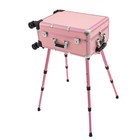 Professional Cosmetic Travel Case Vanity Organizer Rolling Makeup Train Case 