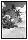 Mcs 13x19 Poster Frame Corrugated Back  same Shipping Any Qty 