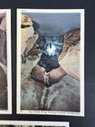 Skyoline Caverns Fort Royal Virginia Postcards Vintage Cave Tourist Souvenir Usa
