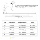 Personalized Dog Collar Soft Leather Padded Custom Pet Name Tag Engraved Xs-xl
