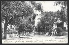 Cape Of Good Hope Underpaid Postcard To England With Postage Due Marks