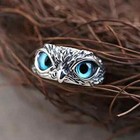 Cute Owl Blue Eye Silver Ring  Adjustable Size  Bird  Fun
