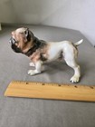 Vintage Porcelain English Bulldog Standing Figurine Korea Scruffy Grumpy