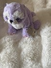     webkinz Brilliant Bandit - Hm626  Nwt Sealed Code-very Soft
