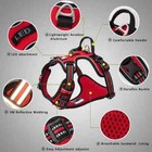 Pet Harness leash Set Rope All-in-one Dog Harness No Pull Adjustable Buckles New