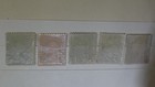 Canal Zone 1904 Scott  4-8 Mint Original Gum Hinged - Hr Sound Stamps Set 5